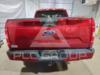 2019 Ford F-150 photo