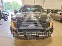 2019 Ford F-150 фото
