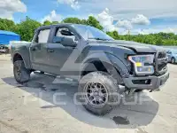 2019 Ford F-150 photo
