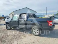 2019 Ford F-150 фото