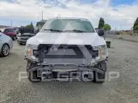 2019 Ford F-150 фото