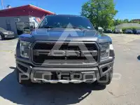 2019 Ford F-150 фото