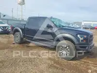 2019 Ford F-150 фото