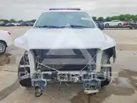 2019 Ford F-150 photo