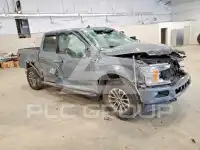 2019 Ford F-150 фото