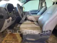 2019 Ford F-150 photo