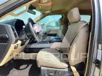 2019 Ford F-150 photo