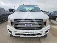 2019 Ford F-150 photo