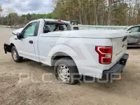 2019 Ford F-150 фото