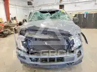 2019 Ford F-150 фото