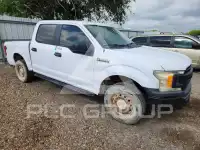 2019 Ford F-150 фото