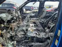 2019 Ford F-150 фото