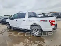 2019 Ford F-150 photo