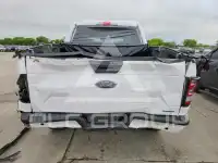 2019 Ford F-150 photo
