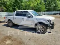 2019 Ford F-150 photo