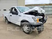 2019 Ford F-150 фото