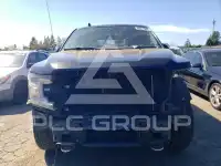 2019 Ford F-150 фото