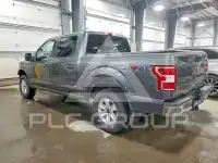 2019 Ford F-150 photo