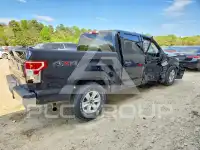 2019 Ford F-150 фото