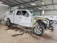 2019 Ford F-150 фото