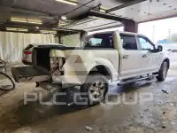 2019 Ford F-150 photo