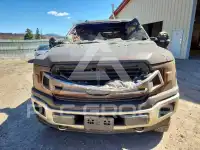 2019 Ford F-150 фото