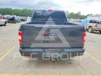 2019 Ford F-150 фото