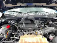 2019 Ford F-150 фото