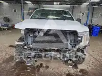 2019 Ford F-150 фото
