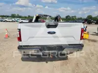 2019 Ford F-150 фото