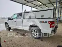 2019 Ford F-150 фото