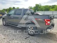 2019 Ford F-150 фото