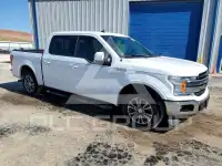2019 Ford F-150 фото
