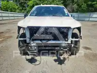 2019 Ford F-150 photo