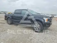 2019 Ford F-150 фото