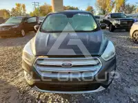 2019 Ford ESCAPE photo