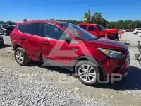 2019 Ford ESCAPE photo