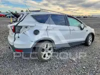 2019 Ford ESCAPE photo