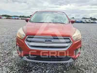2019 Ford ESCAPE фото