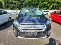2019 Ford ESCAPE фото