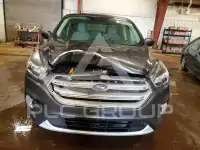 2019 Ford ESCAPE фото