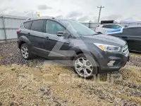 2019 Ford ESCAPE фото