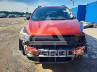 2019 Ford ESCAPE photo