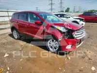 2019 Ford ESCAPE photo