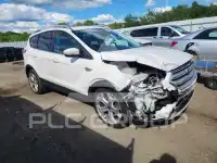 2019 Ford ESCAPE фото