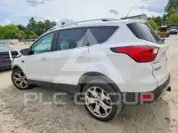 2019 Ford ESCAPE photo