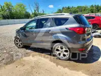 2019 Ford ESCAPE photo