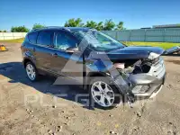 2019 Ford ESCAPE фото