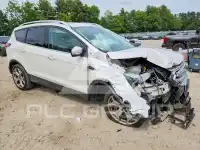 2019 Ford ESCAPE photo