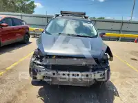 2019 Ford ESCAPE фото